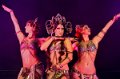 Tribal2013   239